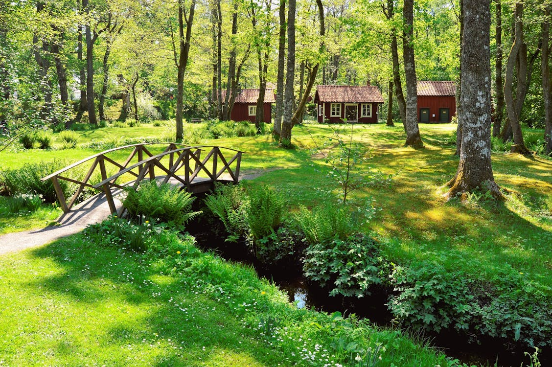 bridge_and_cabins.png