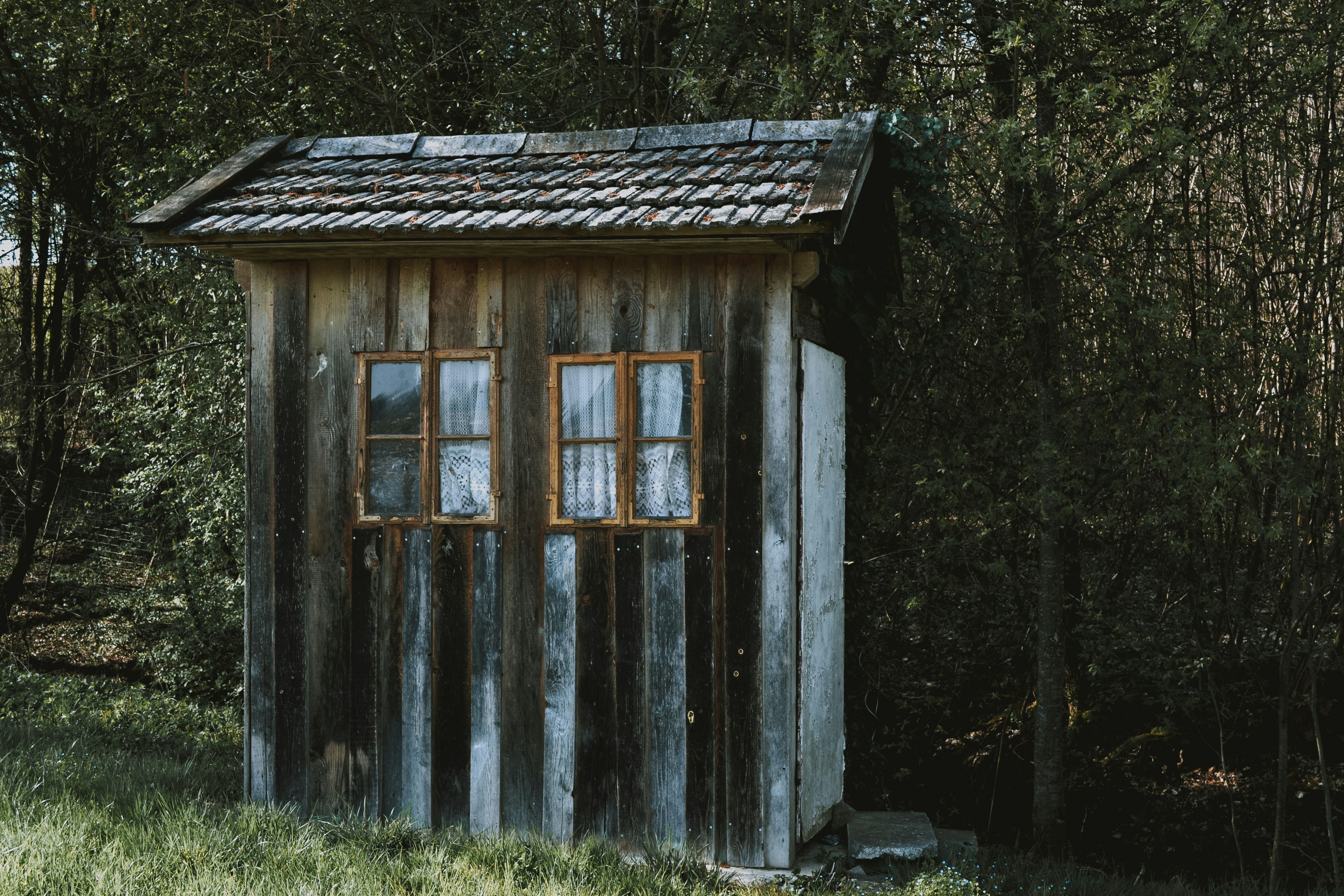 lilartsy-gqfei4s5izm-unsplash.jpg